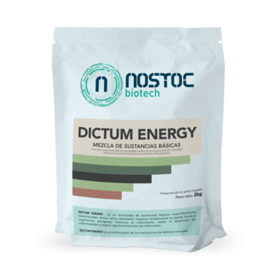 Bolsa_DictumENERGY_2kg
