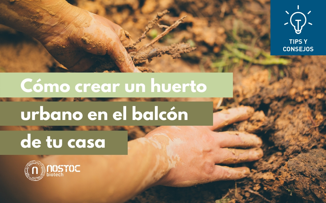 Cómo crear un huerto urbano en el balcón de tu casa