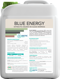 Blue Energy