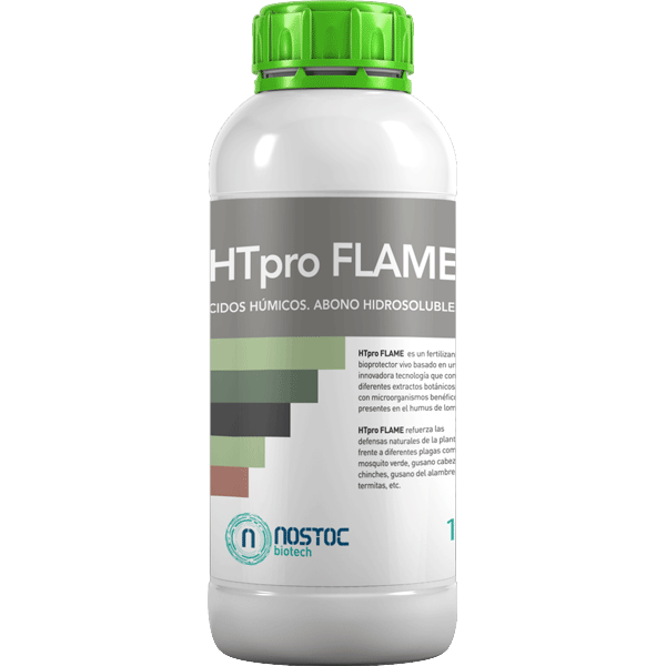 HTpro-Flame