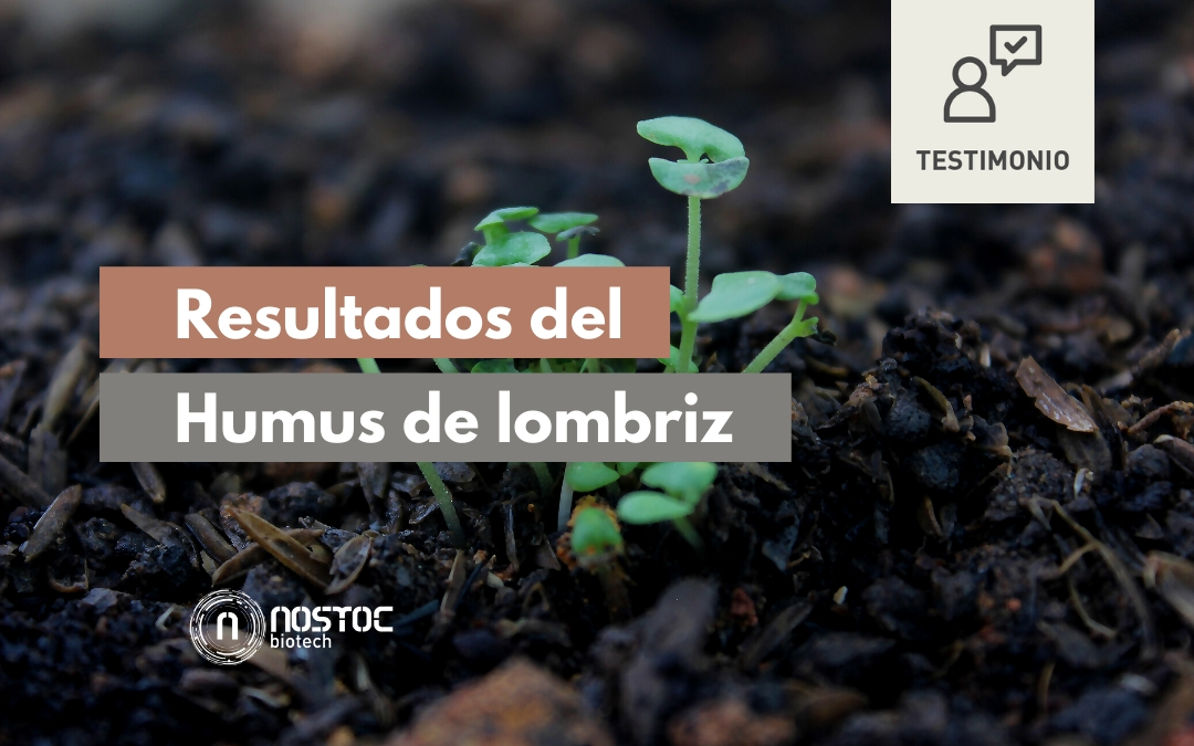 Resultados del Humus de lombriz Nostoc – Testimonio de cliente