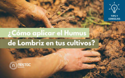 ¿Cómo aplicar el Humus de lombriz en tu cultivo?