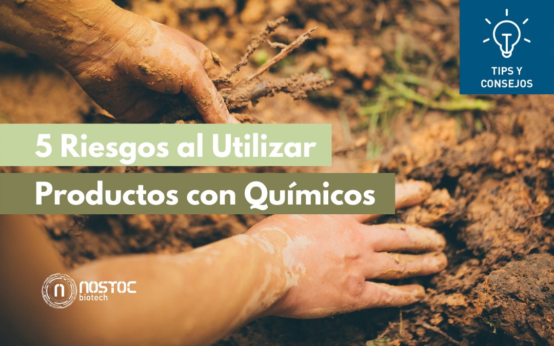 5 Riesgos al Utilizar Productos con Químicos