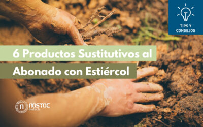 6 Productos Sustitutivos al Abonado con Estiércol