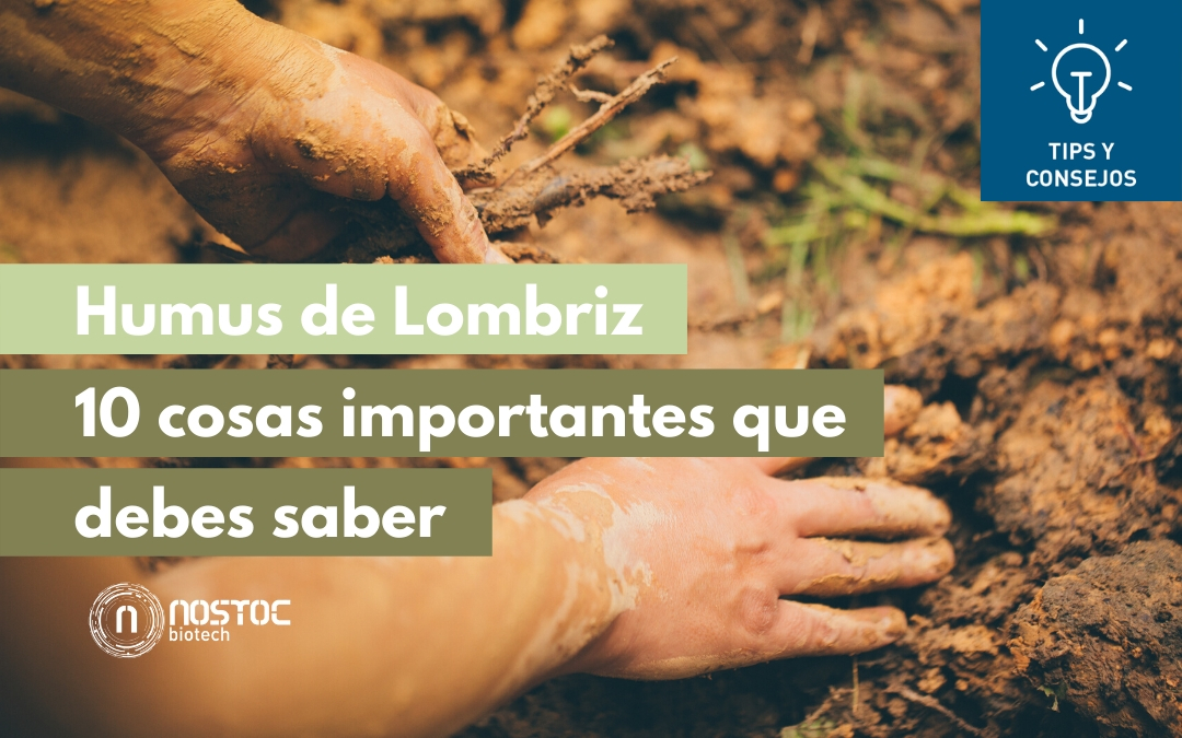 Humus de Lombriz. 10 cosas importantes que debes saber