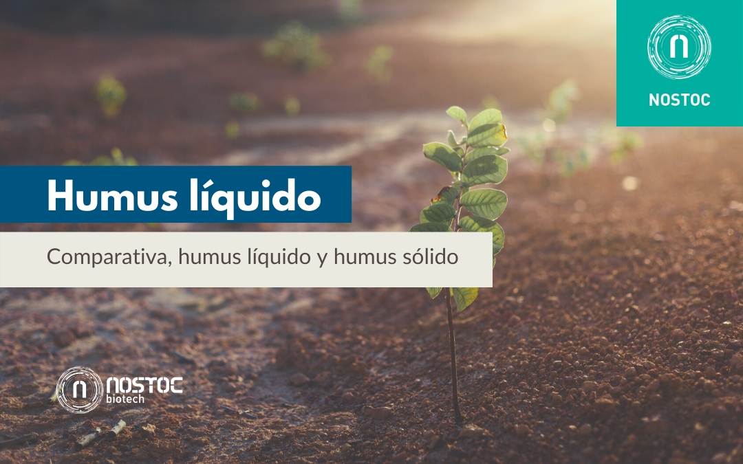 Humus líquido: Comparativa, humus líquido y humus sólido