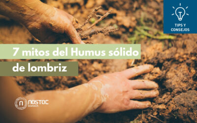 7 mitos del Humus sólido de lombriz