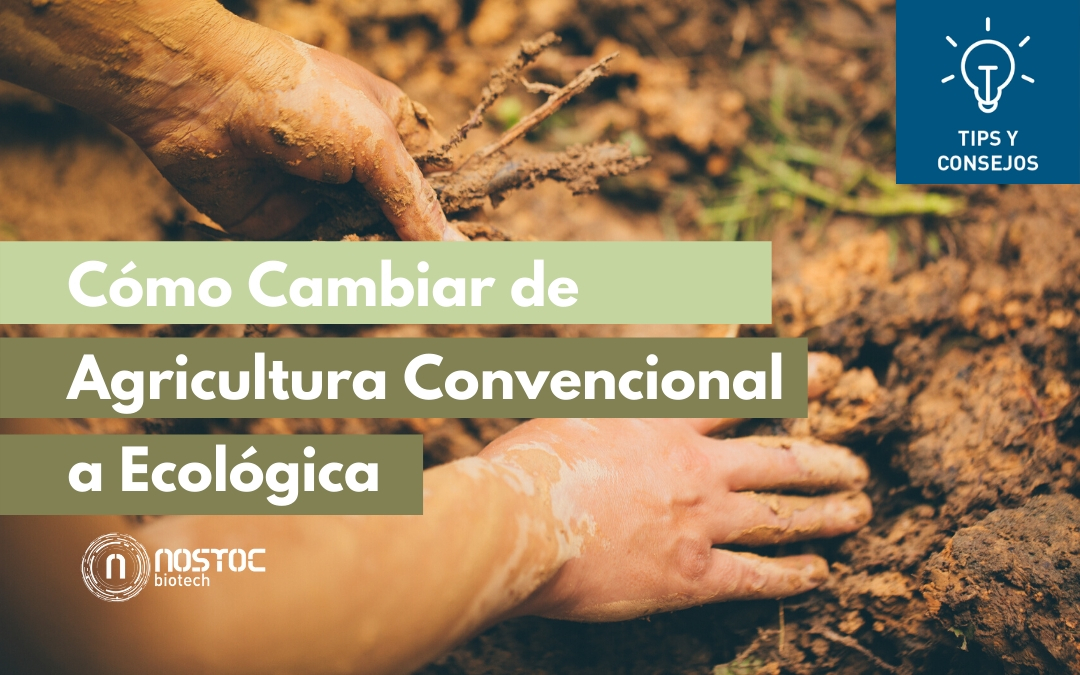 Cómo Cambiar de Agricultura Convencional a Ecológica