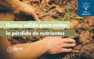 Humus sólido para evitar la pérdida de nutrientes