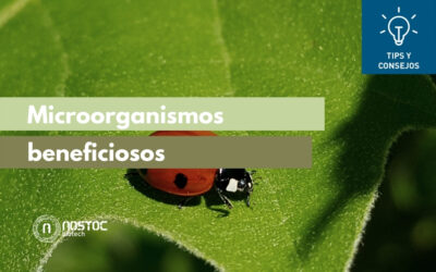 Microorganismos beneficiosos
