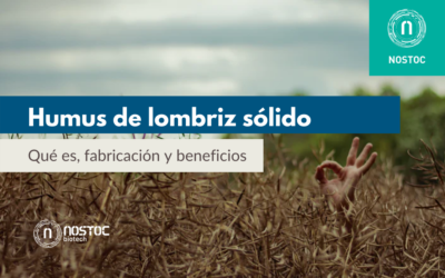 Humus de lombriz sólido: qué es, fabricación y beneficios