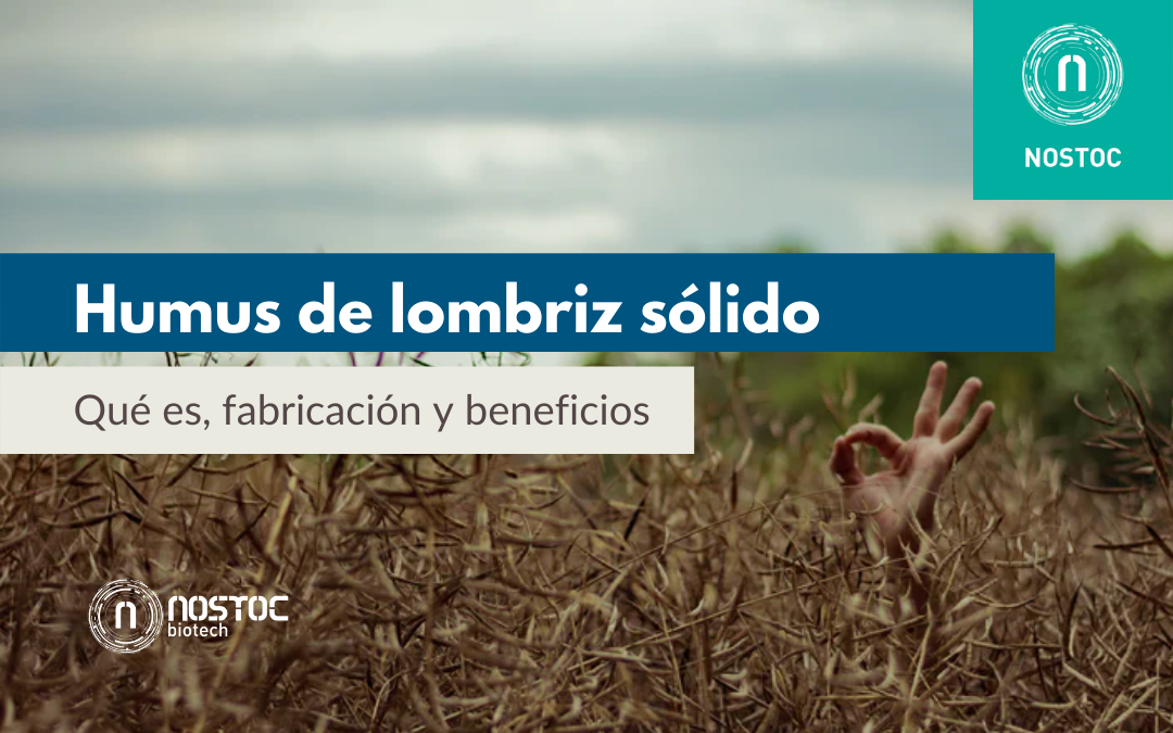 Humus de lombriz sólido: qué es, fabricación y beneficios